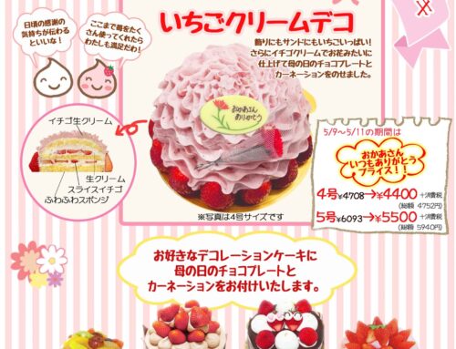 母の日のケーキ